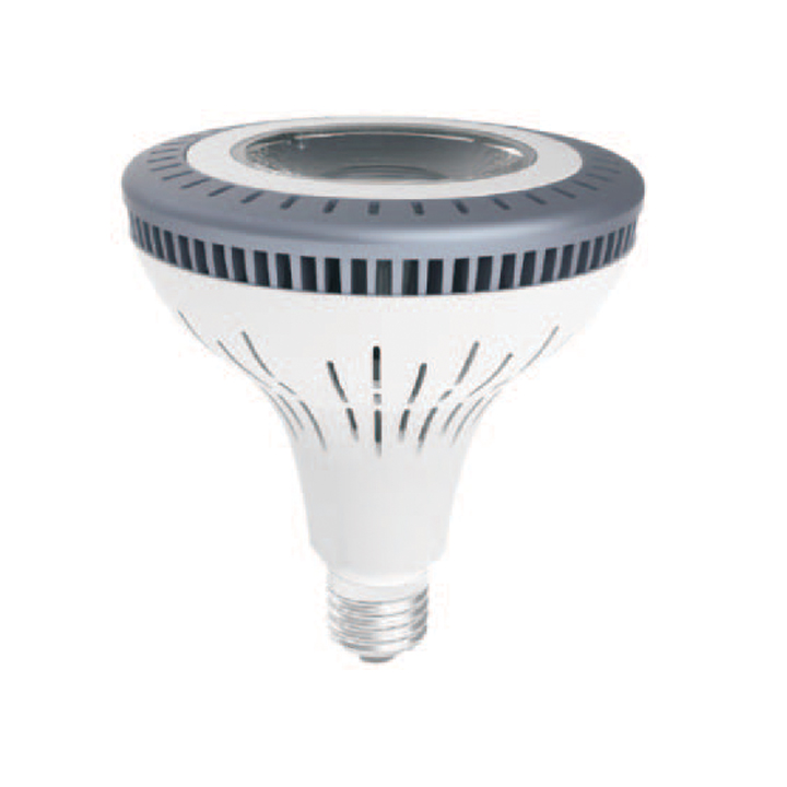 LED PAR Lamp